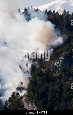 Incendio di foresta nella gamma di Karwendel vicino a Innsbruck in Tirolo, Austria Foto Stock