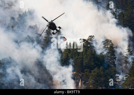 Incendio di foresta nella gamma di Karwendel vicino a Innsbruck in Tirolo, Austria Foto Stock