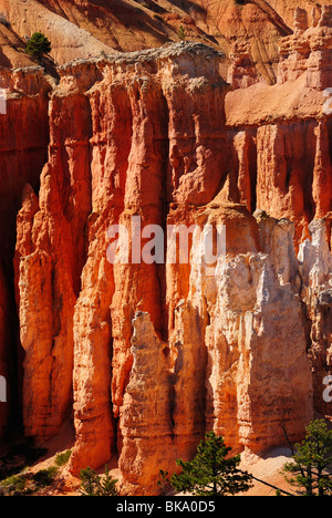 Vista panoramica sul Bryce Canyon da un peek boo loop, Utah, Stati Uniti d'America Foto Stock