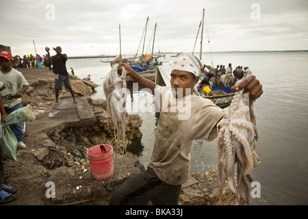 Gli uomini di polpo di pulizia nel porto - Stonetown, Zanzibar, Tanzania. Foto Stock