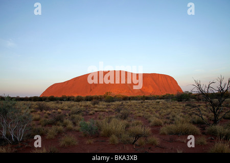 Rinomato in tutto il mondo la formazione di arenaria o di Uluru Ayers Rock al tramonto, Territorio del Nord, l'Australia Foto Stock