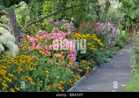 Cono arancio fiori (rudbeckia fulgida), pot Le calendule (calendula officinalis), giardino phlox (phlox paniculata) e campanule (campanula) Foto Stock