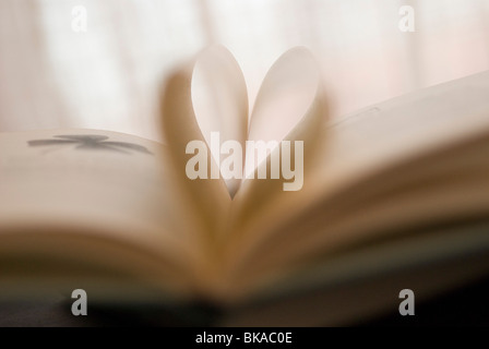 Un cuore fatto con le pagine interne del libro Foto Stock