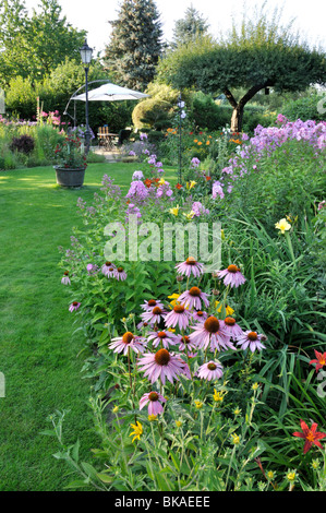 Cono viola fiore (echinacea purpurea) e giardino (phlox phlox paniculata). design: marianne e detlef lüdke Foto Stock