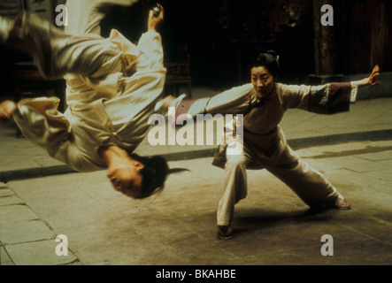 La tigre e il dragone (2000) Zhang Ziyi, Michelle Yeoh TIGE 006 Foto Stock