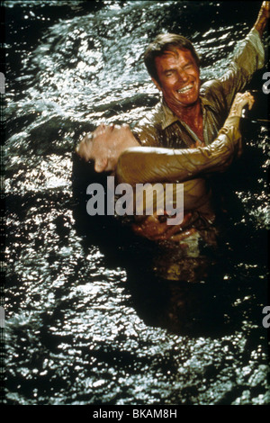 Terremoto (1974) Ava Gardner, Charlton Heston ERQ 002 Foto Stock