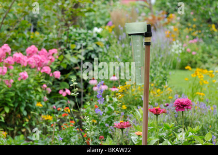 Indicatore pioggia in un perenne giardino Foto Stock