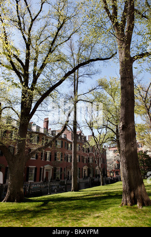 Case a schiera, Louisburg Square, Beacon Hill, Boston Massachusetts Foto Stock