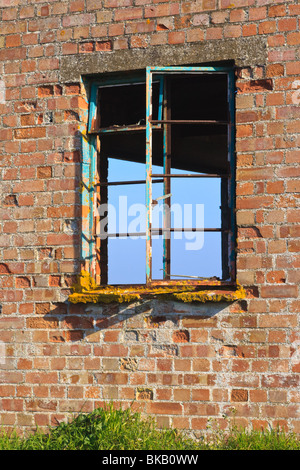 Di metallo del telaio della finestra nella fattoria in disuso edificio, Haddenham, Cambridgeshire, Inghilterra Foto Stock
