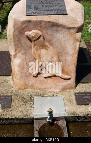 Memoriale di guerra-tempo cani addestrati a Mooloolaba, Queensland, Australia Foto Stock