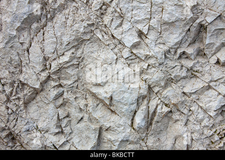 Close-up di chalk cliff in Jasmund Parco nazionale sull'isola di Ruegen, Meclemburgo-Pomerania Occidentale, Germania. Foto Stock