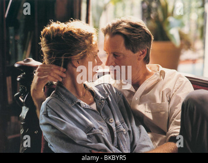 Il Pelican breve (1993) Julia Roberts, Sam Shepard PLB 009 FOH Foto Stock