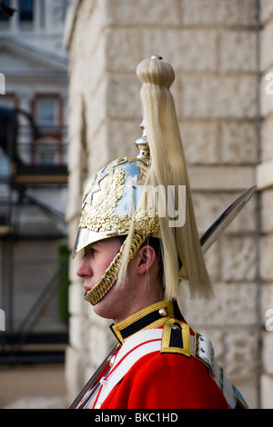 Life Guard della cavalleria della famiglia, REGNO UNITO Foto Stock