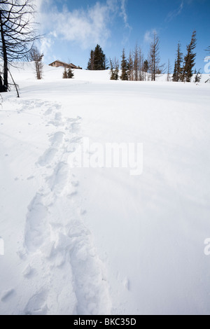 Itinerari con le ciaspe - Cappuccio Cloud Inn, Cooper Sperone, Mount Hood National Forest - Monte Cofano, Oregon Foto Stock