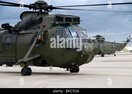 Royal Navy Seaking 4 elicotteri tassare Foto Stock