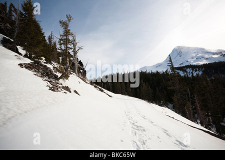 Vetta del Monte Cofano dal cappuccio Cloud Area, Cooper Sperone, Mount Hood National Forest - Monte Cofano, Oregon Foto Stock