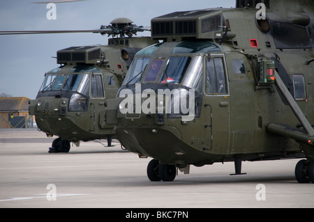 Royal Navy trasporto truppa Sea King mk4 elicotteri Foto Stock
