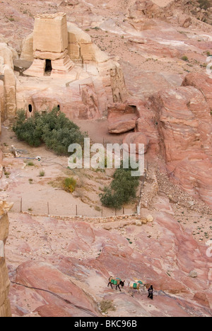 Vista aerea del beduino che conduce i suoi asini tra le abitazioni di Nabataean. Petra, Giordania Foto Stock