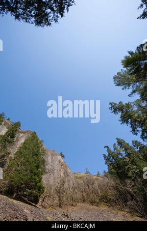 Eagle Creek Trail - Columbia River Gorge, Multnomah County, Oregon Foto Stock