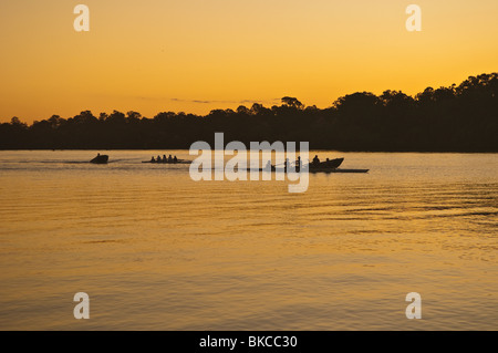 Canottaggio sul fiume Brisbane, Brisbane, Queensland, Australia Foto Stock