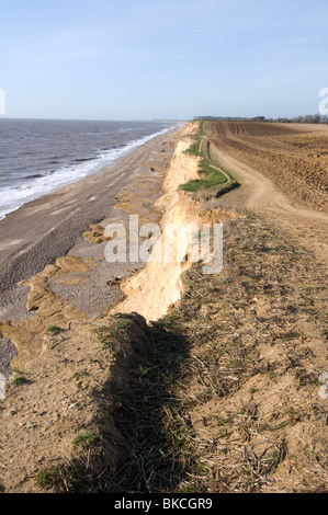 Il sentiero e di erosione delle coste di scogliere ar Covehithe Suffolk East Anglia England Regno Unito Foto Stock