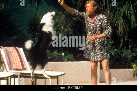 Verso il basso e fuori IN BEVERLY HILLS (1989) Nick Nolte il dapb 001 Foto Stock