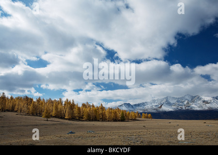 Altai montagne del Tavan Bogd National Park, Mongolia occidentale. Foto Stock