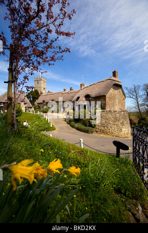 Cottage con il tetto di paglia, narcisi, case, chiesa, Godshill, Isle of Wight, England, Regno Unito Foto Stock