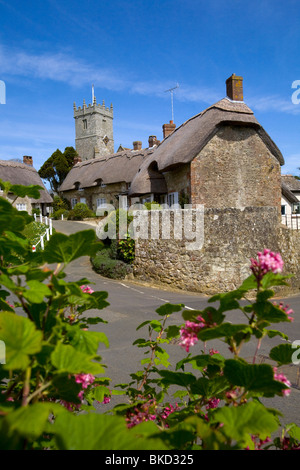 Cottage con il tetto di paglia, narcisi, case, chiesa, Godshill, Isle of Wight, England, Regno Unito Foto Stock