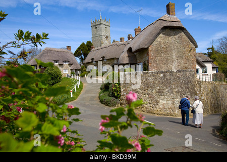 Cottage con il tetto di paglia, narcisi, case, chiesa, Godshill, Isle of Wight, England, Regno Unito Foto Stock