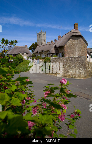 Cottage con il tetto di paglia, narcisi, case, chiesa, Godshill, Isle of Wight, England, Regno Unito Foto Stock