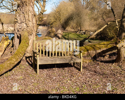 Sedile in legno dal fiume a scacchi in Valle di scacchi, Bucks, Regno Unito Foto Stock