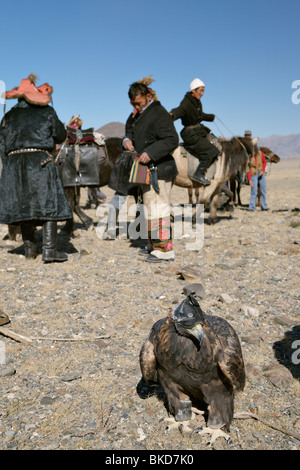 Aquila di caccia al Golden Eagle Festival. Il bayan Olgii, Mongolia. Foto Stock