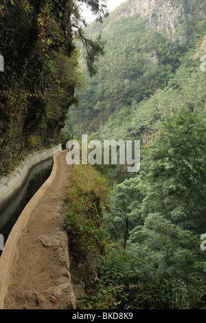 Madeira escursionismo lungo il canale di irrigazione Foto Stock