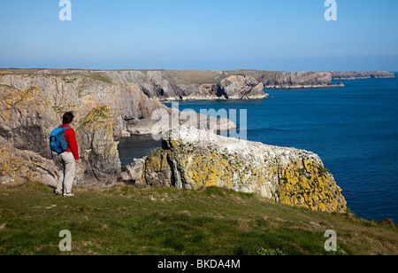 Donna escursionista a pile Elegug Pembrokeshire Coast path Wales UK Foto Stock