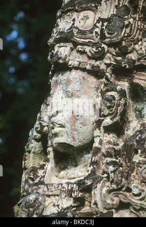 Honduras, Copan rovine Maya, dettaglio di Stela H, Main Plaza, faccia di 18 Coniglio, xiii righello. Foto Stock