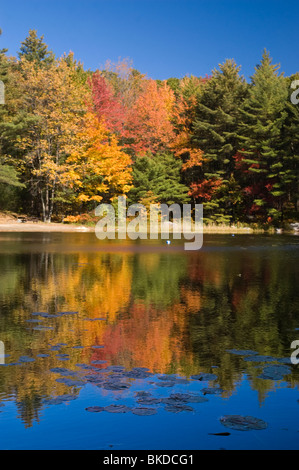 Ruggles stagno, Wendell la foresta di stato, Wendell, Massachusetts Foto Stock