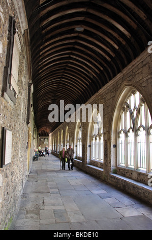 I Chiostri, Chichester Cathedral, Chichester, West Sussex, in Inghilterra, Regno Unito Foto Stock
