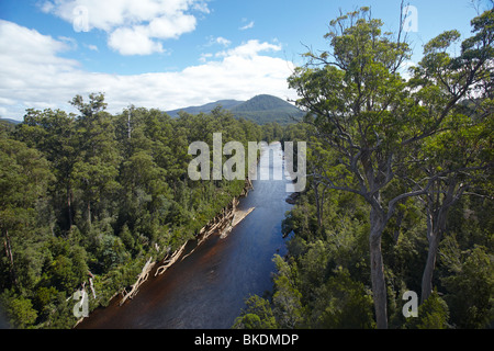 Fiume Huon e della Foresta di Tahune, riserva forestale, Sud Tasmania, Australia Foto Stock