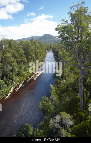 Fiume Huon e della Foresta di Tahune, riserva forestale, Sud Tasmania, Australia Foto Stock