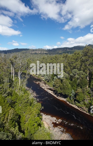 Fiume Huon e della Foresta di Tahune, riserva forestale, Sud Tasmania, Australia Foto Stock