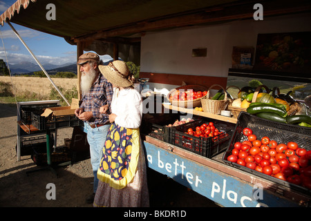 La produzione di stallo, Huonville, Valle di Huon, Sud Tasmania, Australia Foto Stock