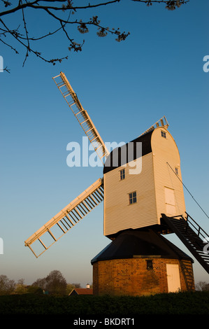 Mulino a vento di Mountnessing post in Essex Foto Stock