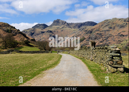 The Langdale Pikes da vicino Oak Howe in grande Langdale Foto Stock