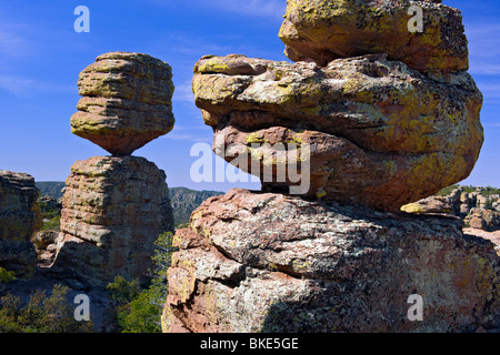 Grande roccia equilibrata è uno degli innumerevoli lichen coperto pinnacoli di roccia in Arizona remote Chiricahua National Monument. Foto Stock