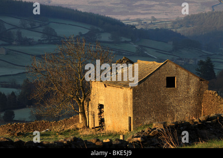 Un parzialmente in rovina campo fienile vicino Appletreewick, Superiore Wharfedale, Yorkshire Dales, England, Regno Unito Foto Stock