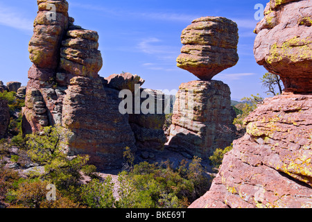 Grande roccia equilibrata è uno degli innumerevoli lichen coperto pinnacoli di roccia in Arizona remote Chiricahua National Monument. Foto Stock