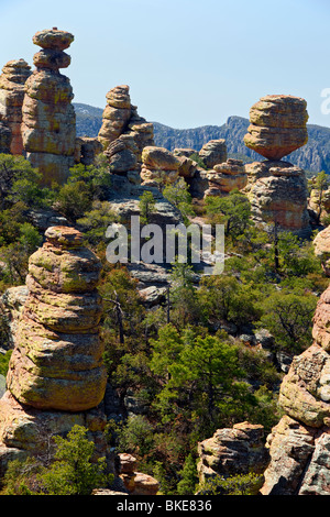 Grande roccia equilibrata è uno degli innumerevoli lichen coperto pinnacoli di roccia in Arizona remote Chiricahua National Monument. Foto Stock