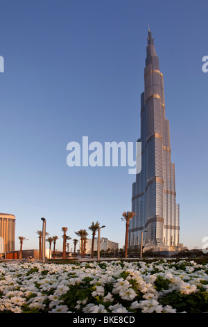 Il Burj Khalifa, Skycraper più alta nel mondo, 828 metri, Burj Dubai, Dubai Emirati Arabi Uniti Foto Stock