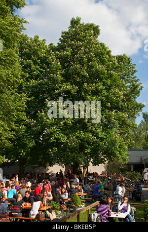 Cafe e il giardino della birra Am Neuen vedere in Tiergarten di Berlino, Germania Foto Stock